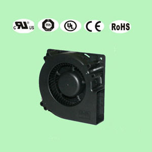 ɢL(fng)12032